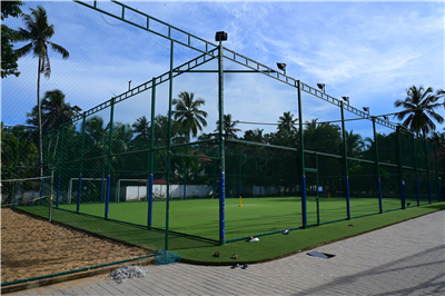 Box Cricket Turf